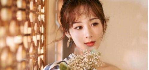 杨紫家世爆料视频大全,视频大全揭示明星背后的家族故事 第1张 杨紫家世爆料视频大全,视频大全揭示明星背后的家族故事 第1张